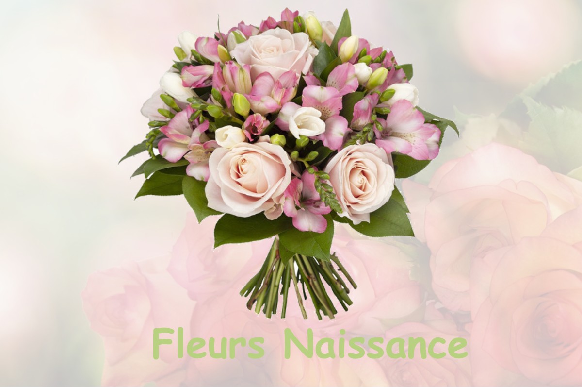 fleurs naissance SAINT-GEOURS-DE-MAREMNE