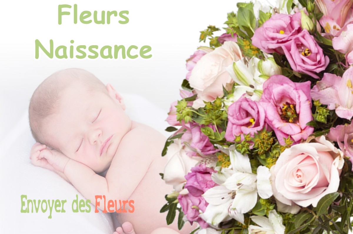 lIVRAISON FLEURS NAISSANCE à SAINT-GEOURS-DE-MAREMNE